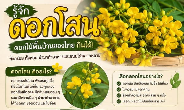 ดอกโสนในไทย คืออะไร? 🌼 รู้จักดอกไม้พื้นบ้านที่กินได้ และเมนูอร่อยจากดอกโสน